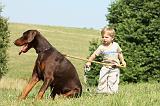 ENFANT ET CHIEN 251